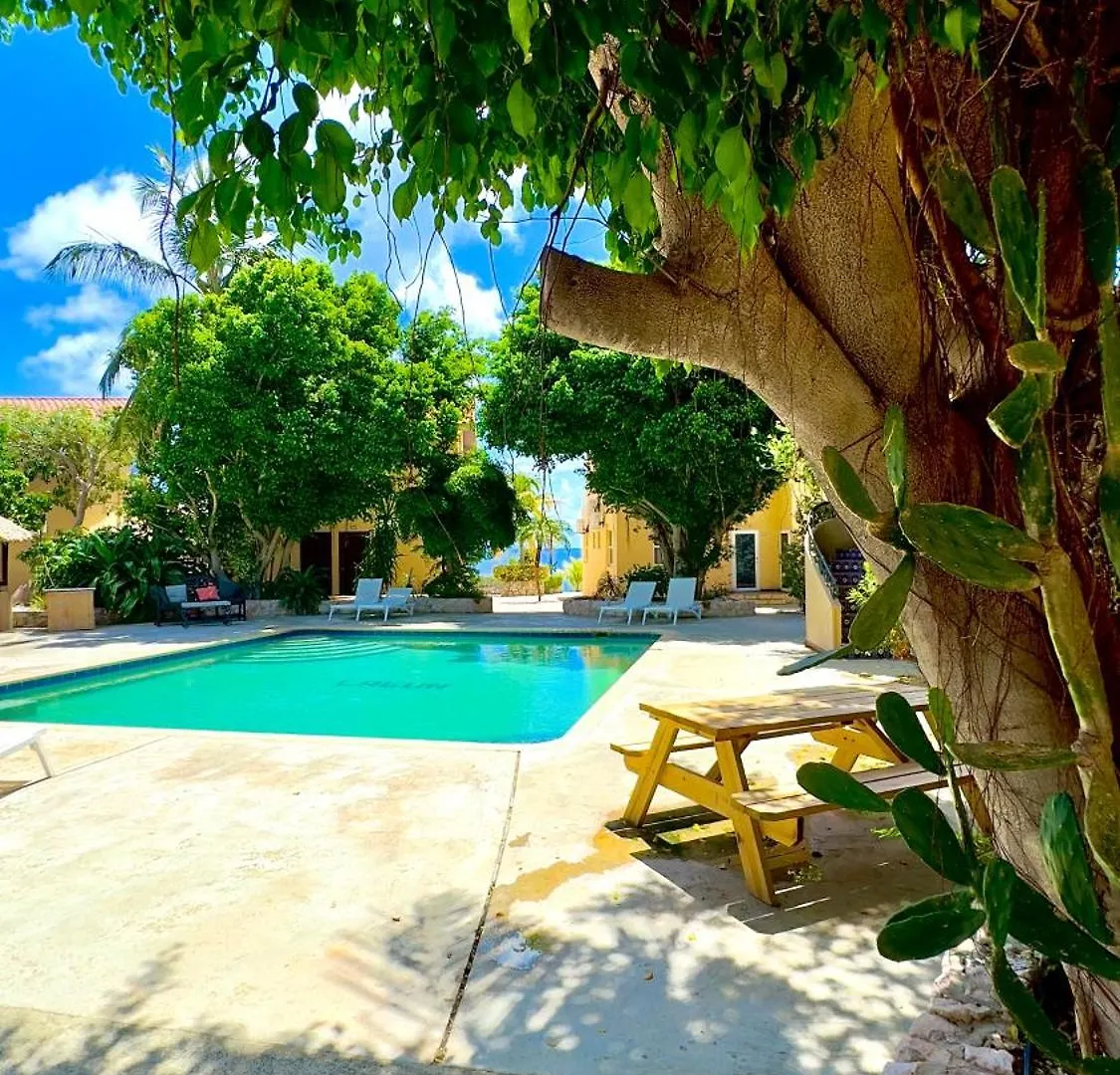 Apartment Appartement 8 & 9- Lagun Blou Resort - Curacao